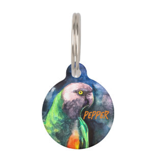 Senegal parrot Round Pet Tag