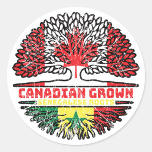 Senegal Senegalese Canadian Canada Tree Roots Flag Classic Round Sticker