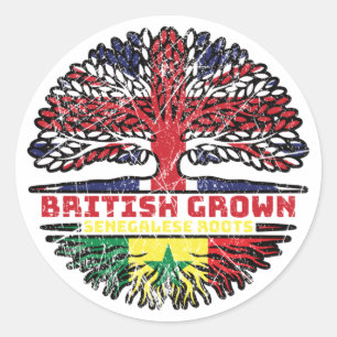 Senegal Senegalese Uk United Kingdom British Tree Classic Round Sticker