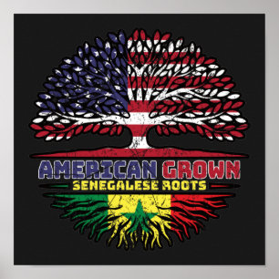 Senegal Senegalese US American USA United States Poster