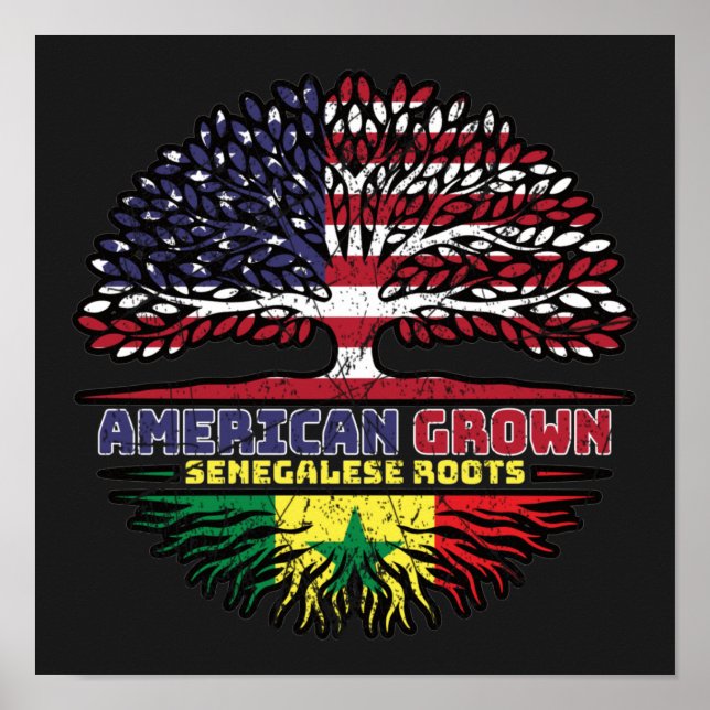 Senegal Senegalese US American USA United States Poster (Front)