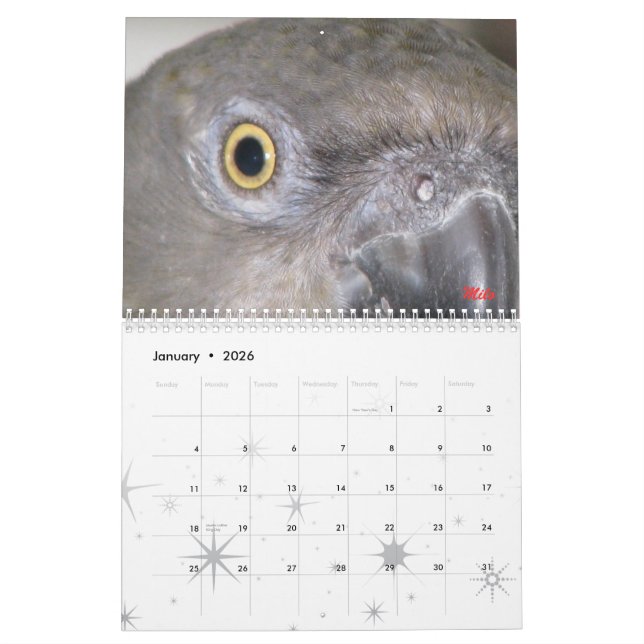 Senegals 2009 Calendar - Customised (Jan 2026)