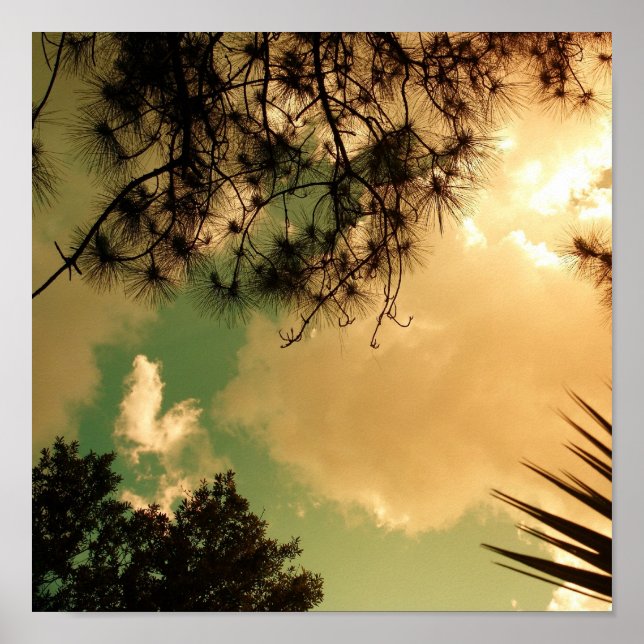 Senic Sky Poster (Front)