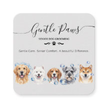 Senior Pet Grooming Salon Dog Grooming