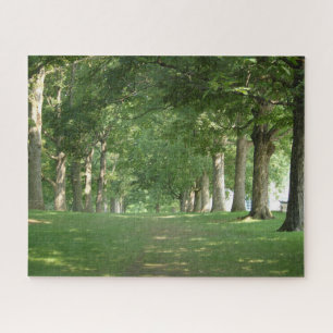 Senior Row Trees at Bryn Mawr Jigsaw Puzzle