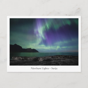 Senja, North Norway Postcard