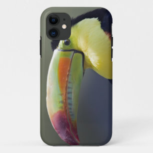 Senor Tuco iPhone 5 Case-Mate Case