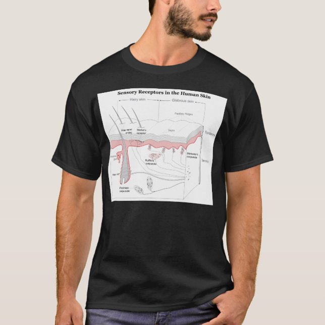 Sensory Receptors in the Human Skin Diagram T-Shirt (Front)