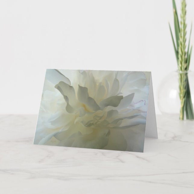 Sensual Delight AH2010 Card (Front)