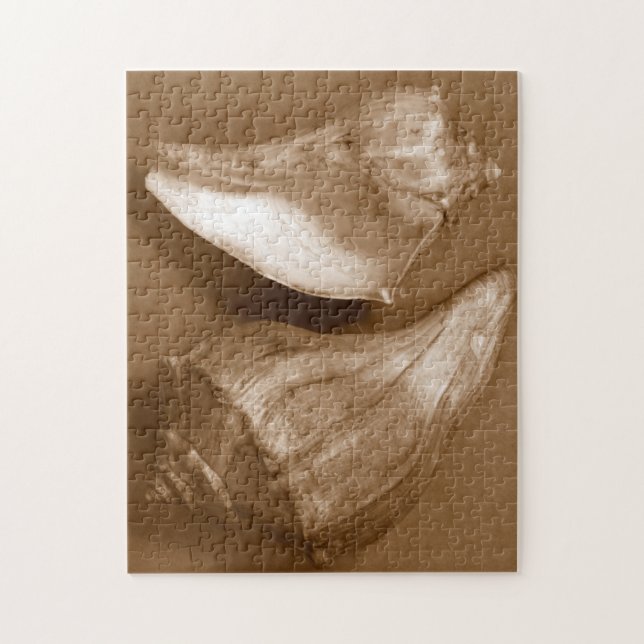 Sensual Shells Jigsaw Puzzle (Vertical)