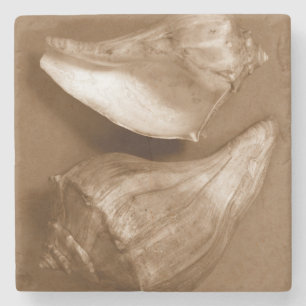 Sensual Shells Stone Coaster