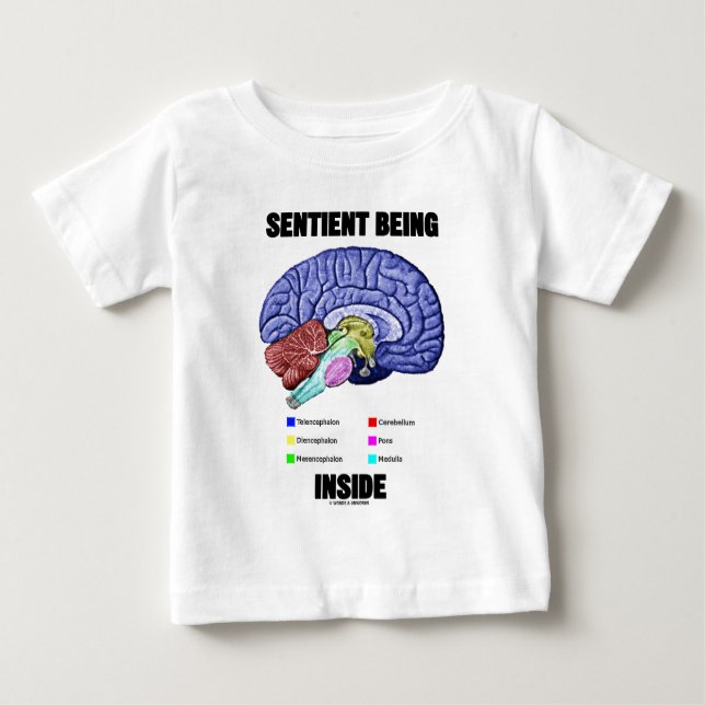 Sentient Being Inside (Anatomical Brain) Baby T-Shirt (Front)