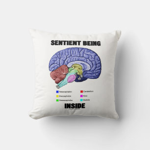 Sentient Being Inside Anatomical Brain Cushion