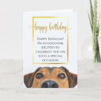 Sentimental Dog Funny Birthday Epic New Lovely