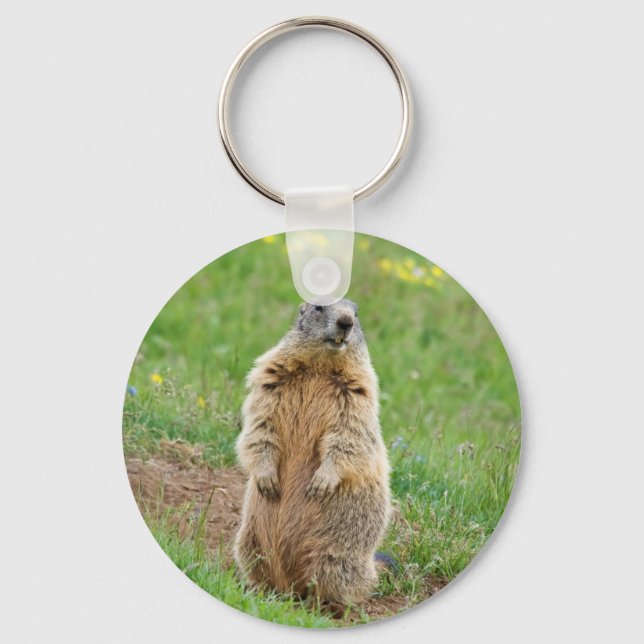 Sentinel marmot key ring (Front)