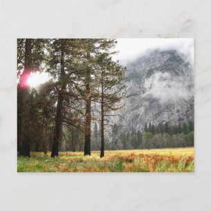 Sentinel Meadow Postcard