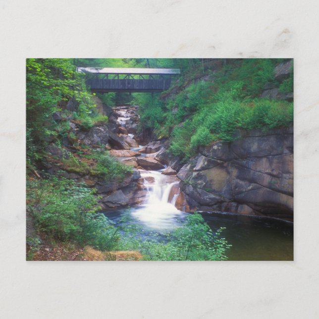 Sentinel Pine Bridge Flume Gorge Postcard (Front)