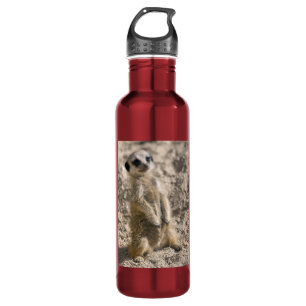 Sentry-in-Training 710 Ml Water Bottle
