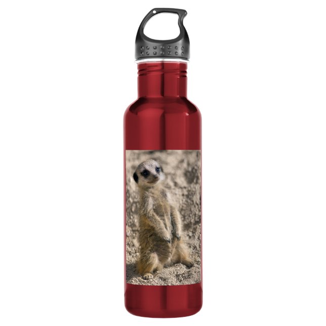 Sentry-in-Training 710 Ml Water Bottle (Front)