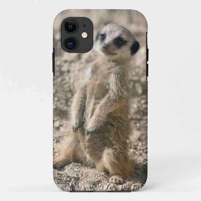 Sentry-in-Training iPhone 5 Case-Mate Case (Back)