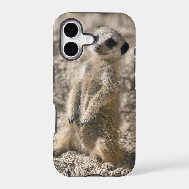 Sentry-in-Training iPhone 5 Case-Mate Case (Back)