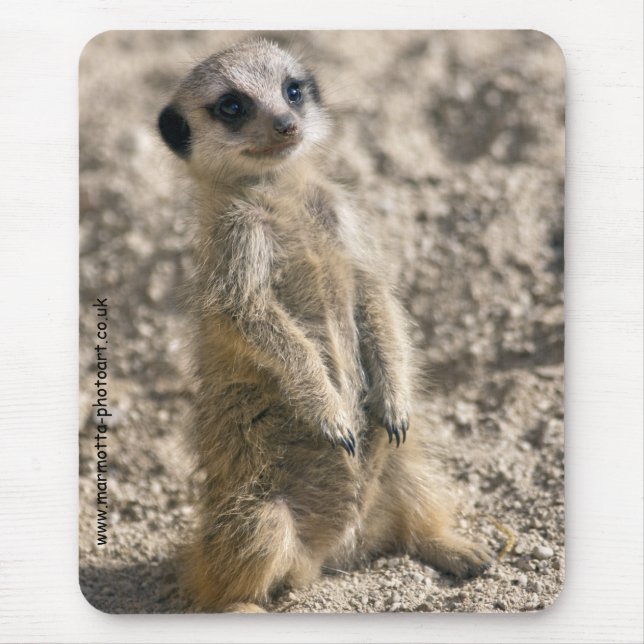 Sentry in Training Mousemat (Front)