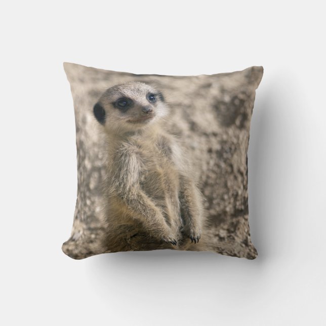 Sentry-in-Training Pillow (Front)