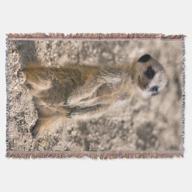 Sentry-in-Training Throw Blanket (Front)