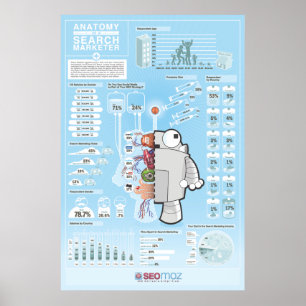 SEOmoz 2010 Industry Survey Poster