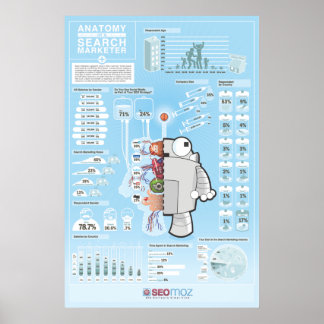 SEOmoz 2010 Industry Survey Poster