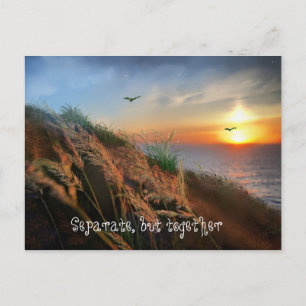 Separate, but together (covid 19 encouragement) postcard