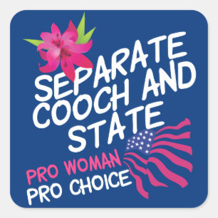 Separate Cooch and State Funny Pro Choice Square Sticker