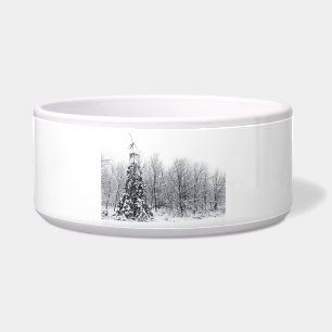 separation with certainty