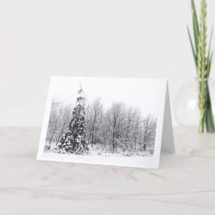 separation with certainty holiday card