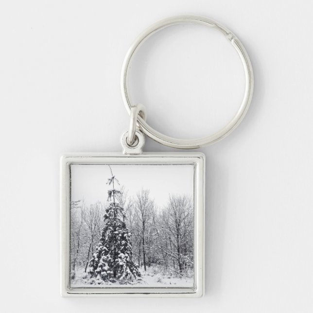 separation with certainty key ring (Front)