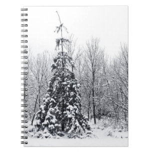 separation with certainty notebook