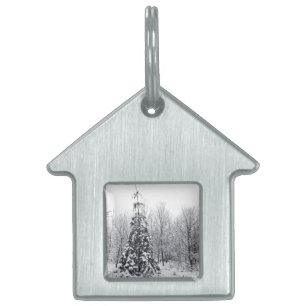 separation with certainty pet ID tag