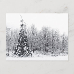 separation with certainty postcard