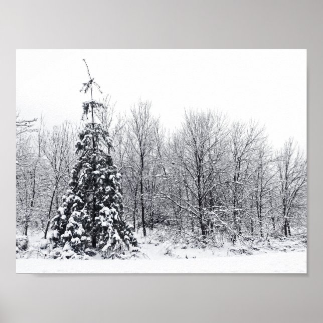 separation with certainty poster (Front)