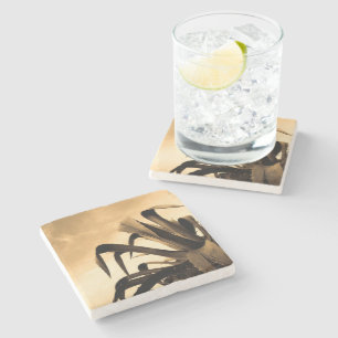 Sepia Aloe Plant Photograph Stone Coaster