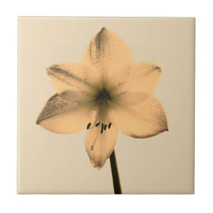 sepia amaryllis ceramic tile