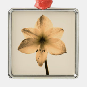 sepia amaryllis metal tree decoration