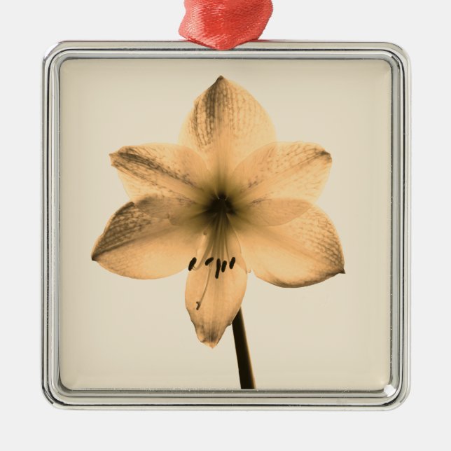 sepia amaryllis metal tree decoration (Front)