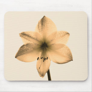 sepia amaryllis mouse pad