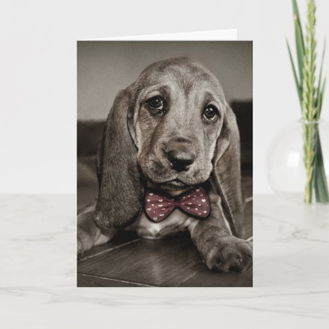 Sepia Basset Hound Puppy Happy Valentine's Day Holiday Card (Front)