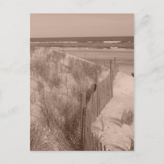 Sepia Beach Scene Postcard