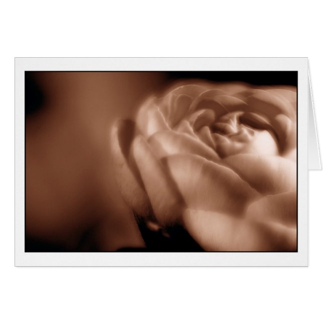 Sepia Begonia 2 (Front Horizontal)