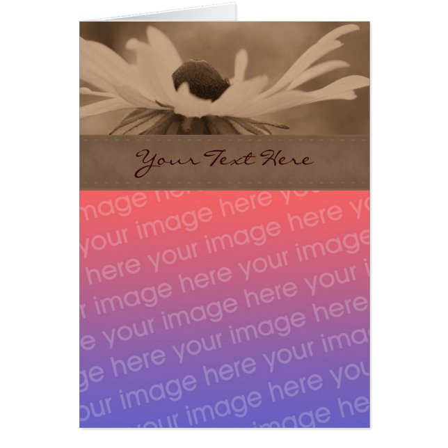 Sepia Black Eyed Susan Flower Photo Card (Front)