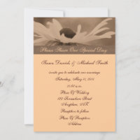 Sepia Black Eyed Susan Flower Wedding 