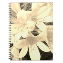 Sepia Blooms Notebook 